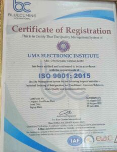 BLUECUMINS INTERNATIONAL(REGISTRATION)